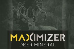 Custom deer Miner Logo and Big Buck