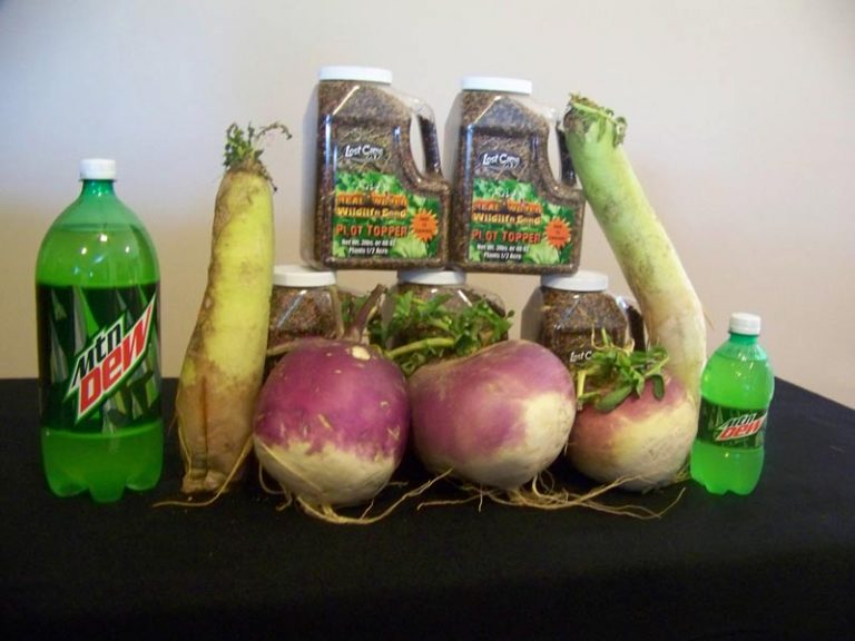 plottopperbigradishturnipwithmtlitermtdew Food Plot Seed Food Plots Deer Minerals
