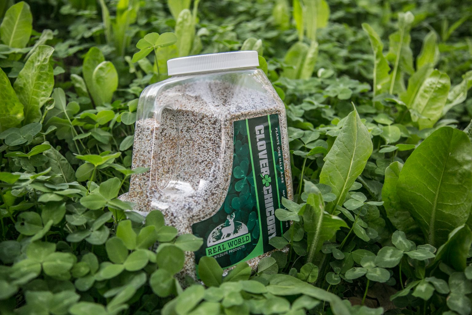 Feeders Outdoors 10lb Deer Food Plot Seed Mix – Alfalfa, Ladino Clover, Red Clover, Chicory