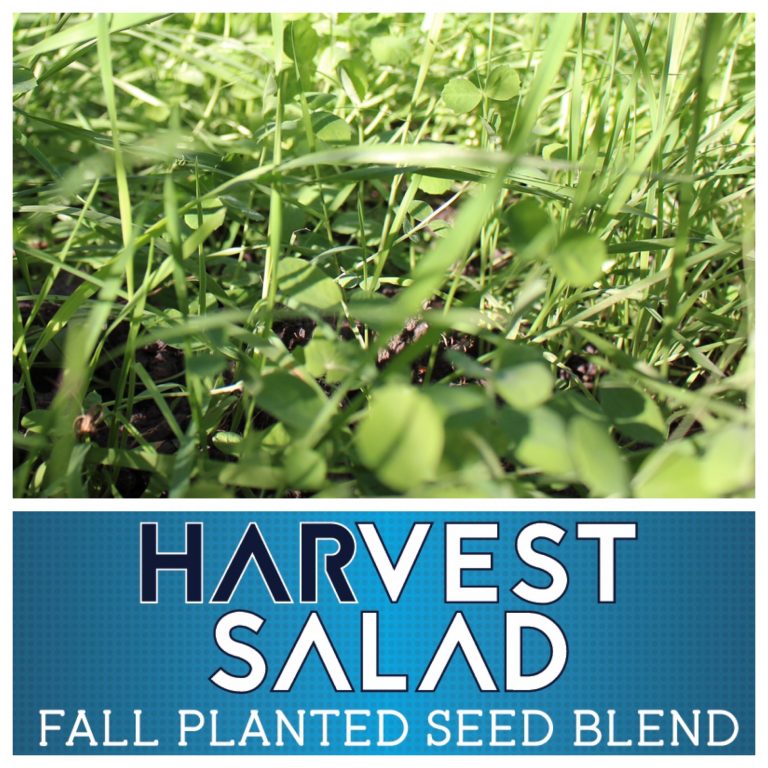 Food Plot Seed